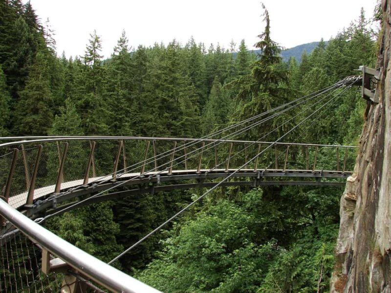 Vancouver: Capilano Bridge, Grouse Mountain & Aquabus Tour - Exploring Rainforest Treetops and Cliffwalk Experiences