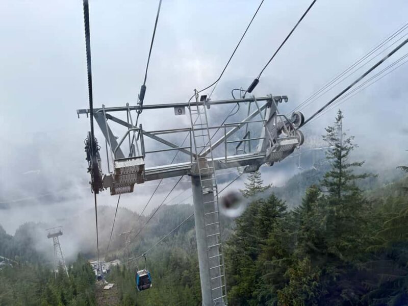 Vancouver: Capilano Bridge, Grouse Mountain & Aquabus Tour - Discovering Granville Island’s Public Market and Artisan Shops