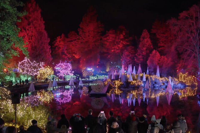 Vancouver Christmas Lights Karaoke Trolley Tour - Exploring Gastowns Festive Charm