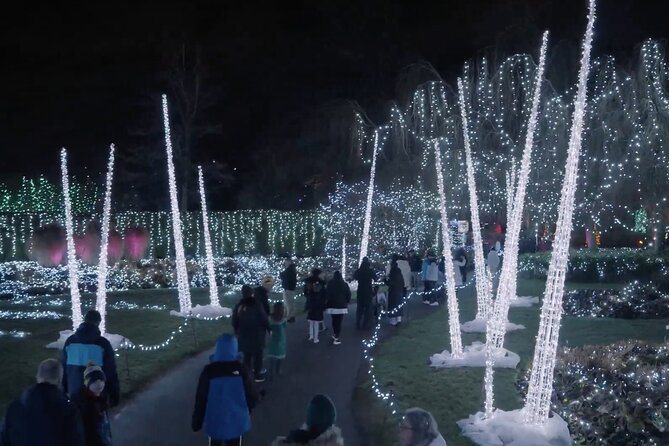 Vancouver Christmas Lights Karaoke Trolley Tour - The Experience on the Festive Trolley