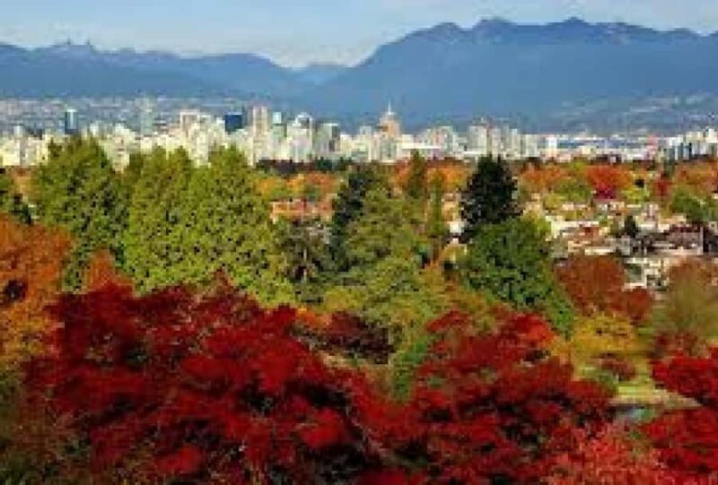 Vancouver: City Highlights Tour with Guide - Queen Elizabeth Park for Panoramic City and Mountain Views
