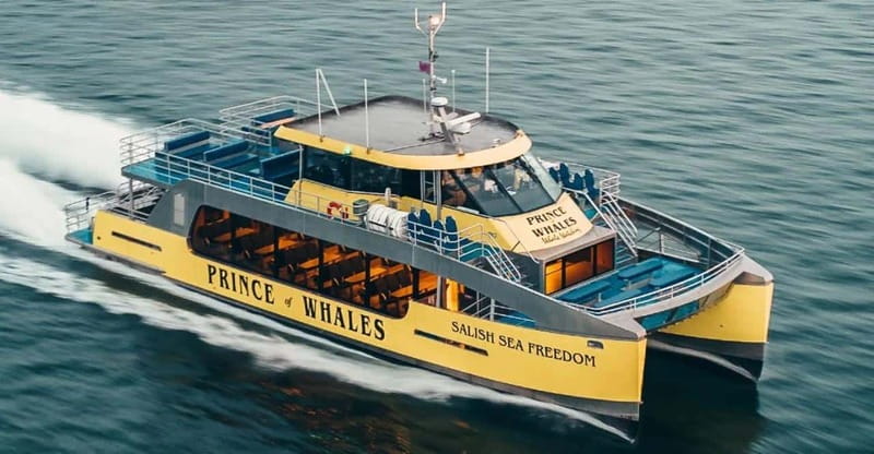 Vancouver: Covered Whale Watching Adventure with Free Photos - Dining, Refreshments, and Onboard Amenities