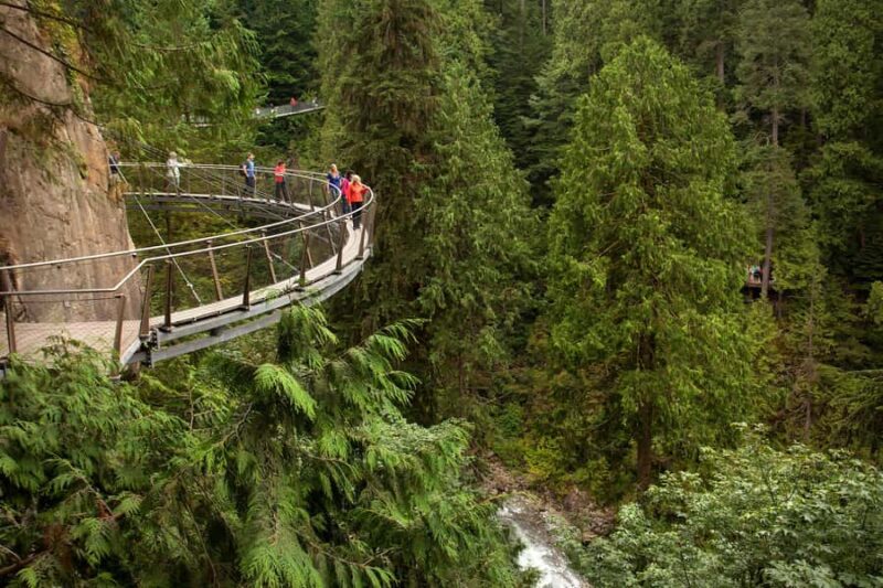 Vancouver Day Tour: Stanley Park, Capilano Suspension Bridge - Discovering Chinatown’s Rich Heritage