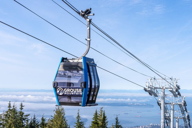 Vancouver Grouse Mountain and Granville Island Tour - Key Points