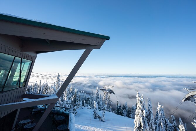 Vancouver Grouse Mountain and Granville Island Tour - Explore the Stunning Views from Grouse Mountain