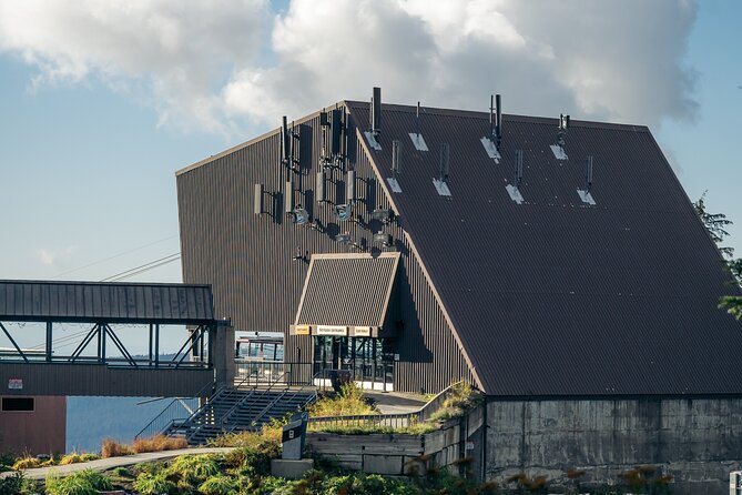 Vancouver Grouse Mountain and Granville Island Tour - Stanley Park Totem Poles and Cultural Highlights