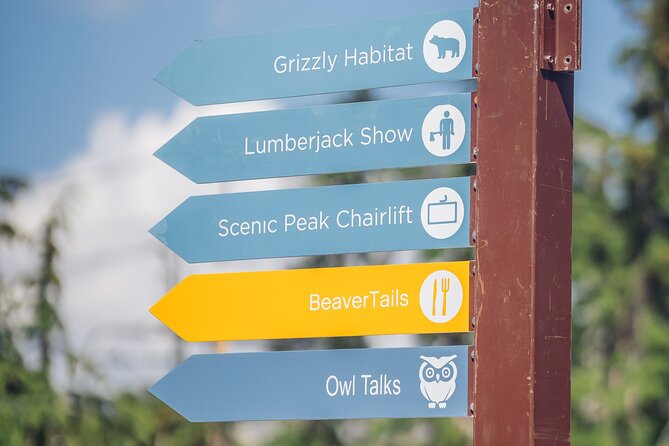 Vancouver Grouse Mountain and Granville Island Tour - Convenient Logistics and Small Group Experience