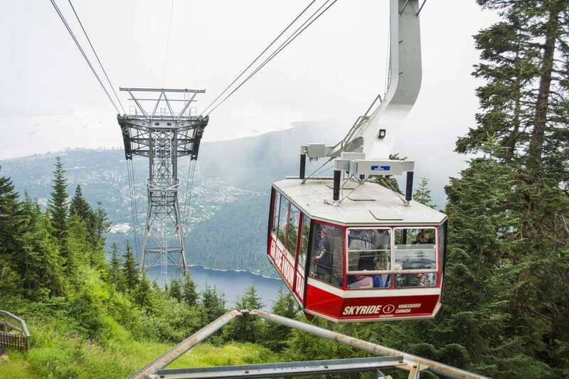 Vancouver: Grouse Mountain Express Tour with Skyride - Ascending Vancouver’s Skyline via Skyride