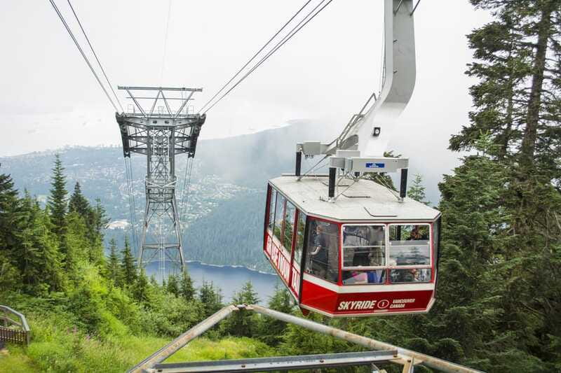 Vancouver: Grouse Mountain Express Tour with Skyride - Exploring Grouse Mountain’s Wildlife Refuge and Grizzly Bears