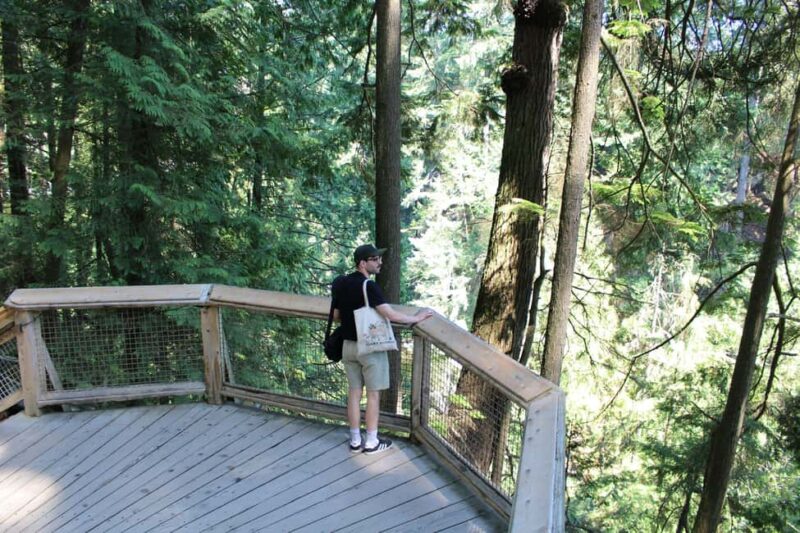 Vancouver Highlights: Capilano Bridge & Granville Island - The Suspension Bridge and Treetops Adventure