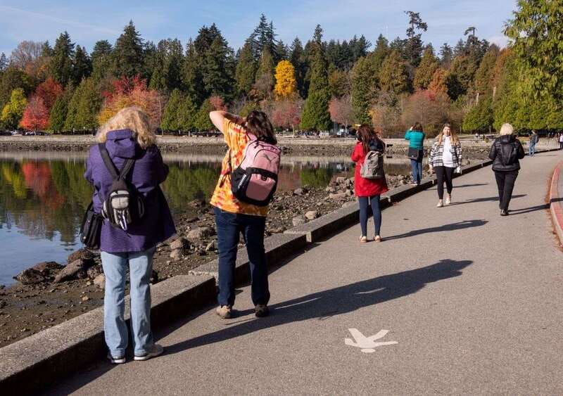 Vancouver: Highlights & Hidden Gems Private Tour - The Role of the Local Guide and Customization