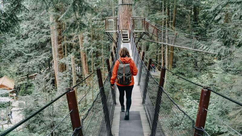 Vancouver: Highlights & Hidden Gems Private Tour - Limitations and Considerations