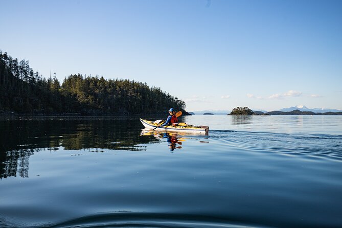 Vancouver Island: 2-Hour Guided Kayak Tour from Telegraph Cove - Discover Vancouver Islands Coastal Beauty with a Guided Kayak Tour
