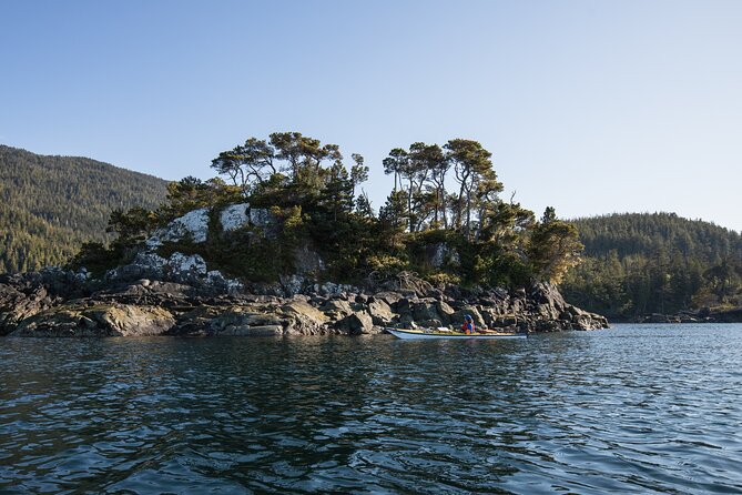 Vancouver Island: 2-Hour Guided Kayak Tour from Telegraph Cove - The Expertise and Approach of North Island Kayak Guides
