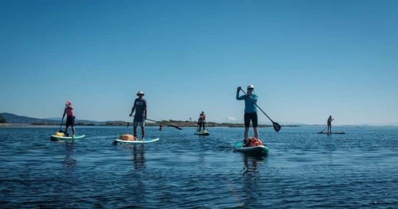Vancouver Island: Marine Ecological Tour with Mer Tales - Key Points