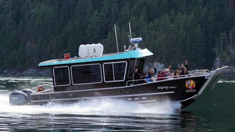 Vancouver Island: Spring Bears and Whales Full-Day Tour - The Guides Knowledge and Storytelling