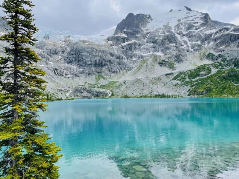 Vancouver: Joffre Lakes Park Hike and Whistler Day Trip - Insights from the Tour Guides and Reviews