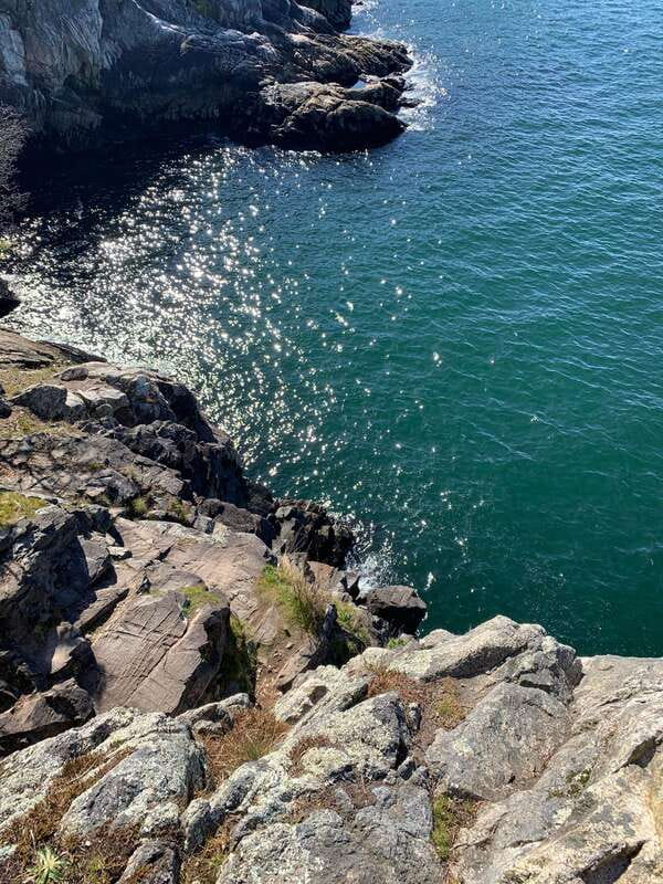 Vancouver: Lighthouse Park Hike - Vancouvers Lighthouse Park: Classic Coastal Scenery