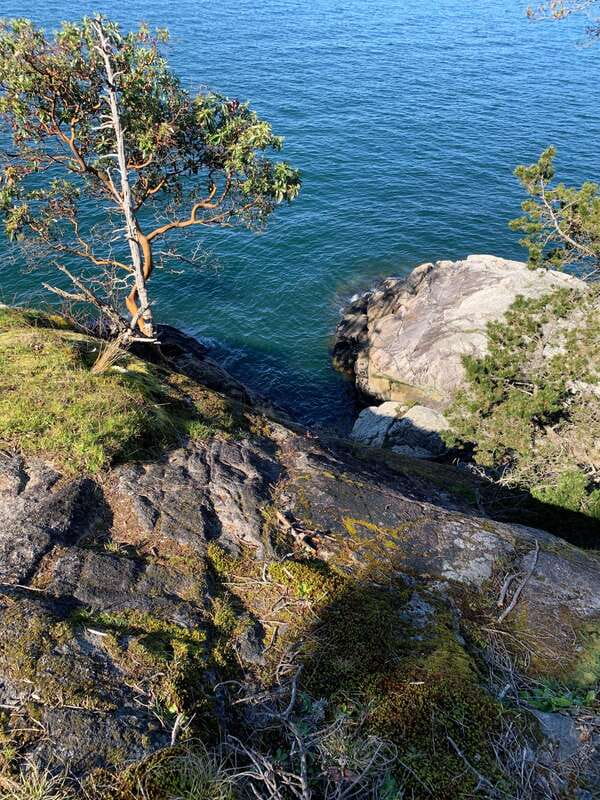 Vancouver: Lighthouse Park Hike - The Iconic Lighthouse and Its Surroundings