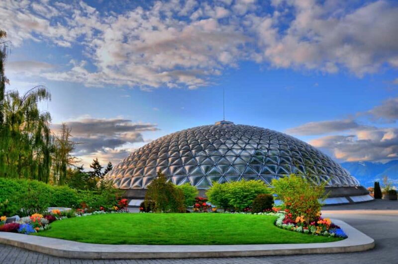 Vancouver Lookout Tower, Capilano Bridge Small Group 12 Tour - Vancouver’s Most Scenic Drive and City Overview