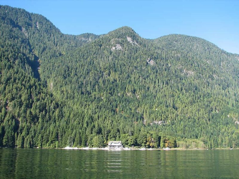 Vancouver: Lunch and Brunch Cruises - Key Points