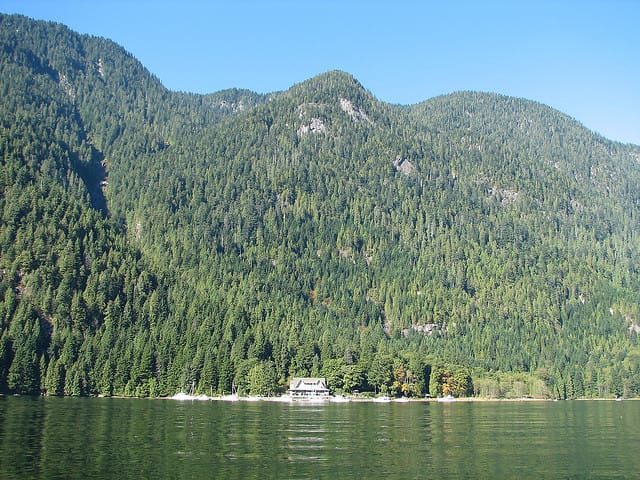 Vancouver: Lunch and Brunch Cruises - Vancouver: Lunch and Brunch Cruises The Sum Up