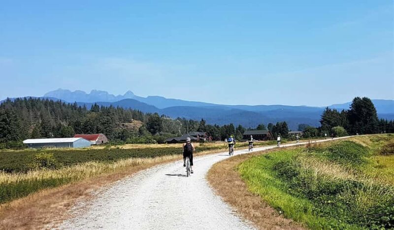 Vancouver: Lynn Canyon Park Hike & Pitt Meadows Bike Tour - Comparing This Tour with Similar Experiences
