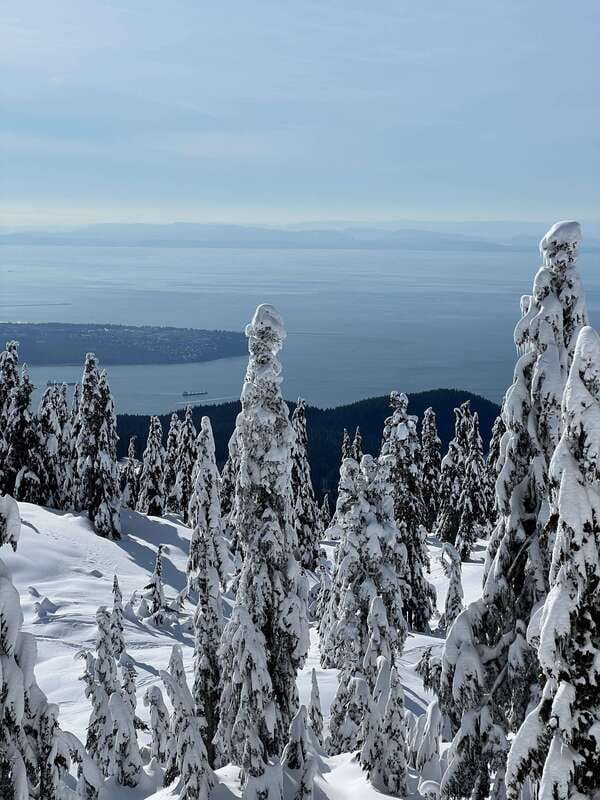 Vancouver: North Shore Mountains Snowshoeing with Transfer - Key Points