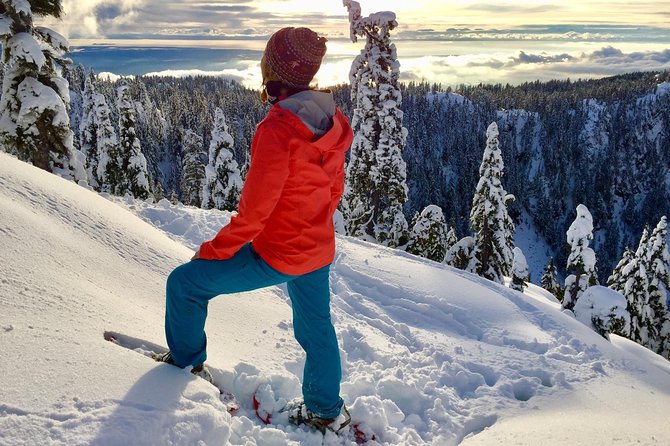 Vancouver Panoramic View Hike - What Sets This Tour Apart