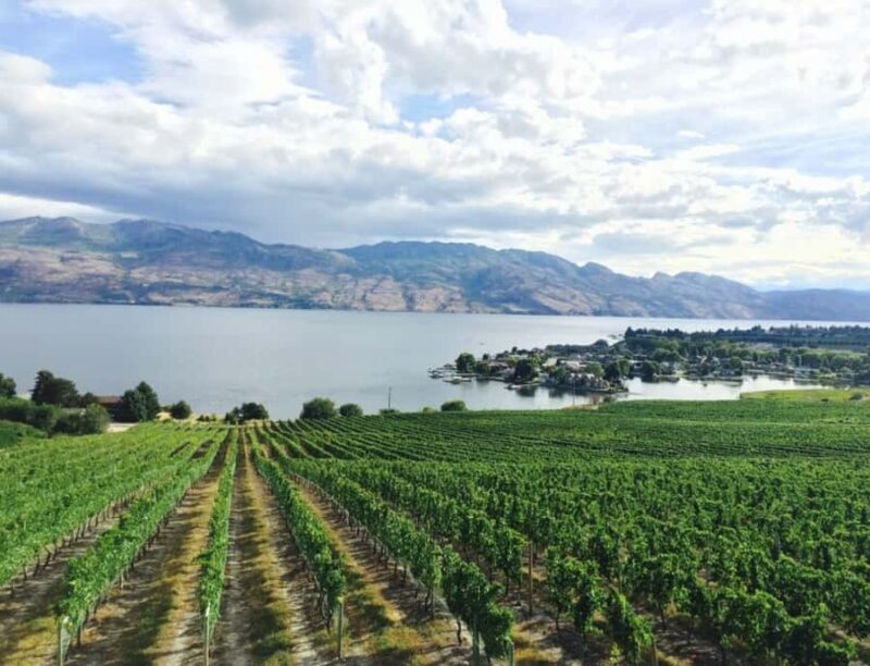 Vancouver: Private Kelowna Wine Country & Bike Tour - Scenic Drive through Fraser Valley and Bridal Veil Falls