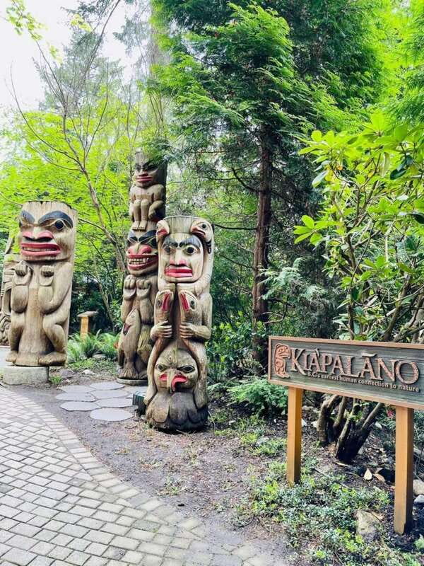 Vancouver: Private Tour City Sights, FlyOver & Capilano - Vancouvers Most Famous Landmarks: Capilano Suspension Bridge Park