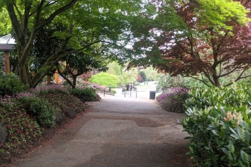 Vancouver: Private Tour City Sights, FlyOver & Capilano - The Comfort and Convenience of Private Transportation