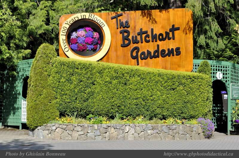 Vancouver: Private Victoria and Butchart Gardens Ferry Tour - The Sum Up: A Relaxed yet In-Depth Day of Natural and Cultural Sights