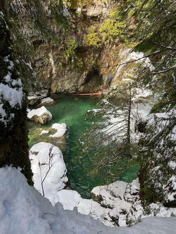 Vancouver: Rainforest Waterfall Hike and Suspension Bridge - Discover Vancouvers Rainforest with a Waterfall Hike and Suspension Bridge