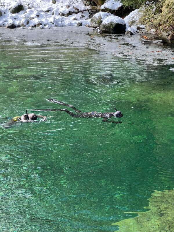 Vancouver: Rainforest Waterfall Hike and Suspension Bridge - Key Points