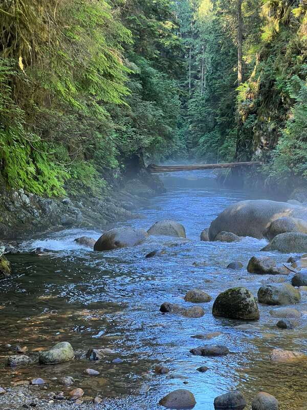 Vancouver: Rainforest Waterfall Hike and Suspension Bridge - Why This Tour Stands Out in Vancouver