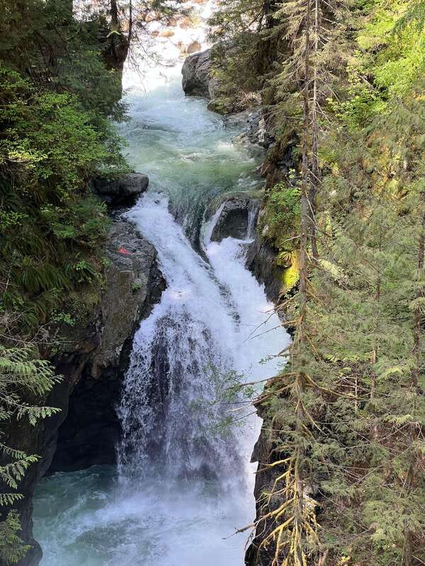 Vancouver: Rainforest Waterfall Hike and Suspension Bridge - Who Will Enjoy This Vancouver Rainforest Tour