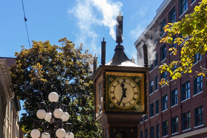 Vancouver Sightseeing Bus & Boat Tour - Zodiac Boat Tour of Vancouver’s Coastal Wonders