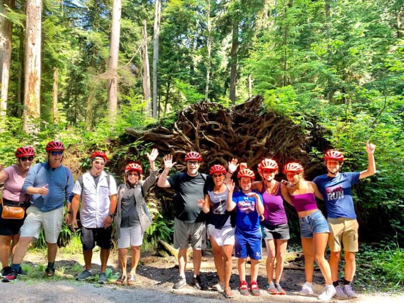 Vancouver: Stanley Park Bike Tour | E-Bike Upgrade Avail. - Riding Options: Standard Bikes and E-Bikes