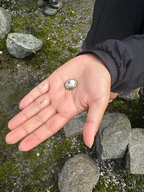 Vancouver: Stanley Park Salish Sea & Me - Discover the Salish Sea & Indigenous Heritage at Stanley Park