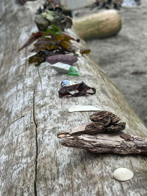 Vancouver: Stanley Park Salish Sea & Me - Key Points