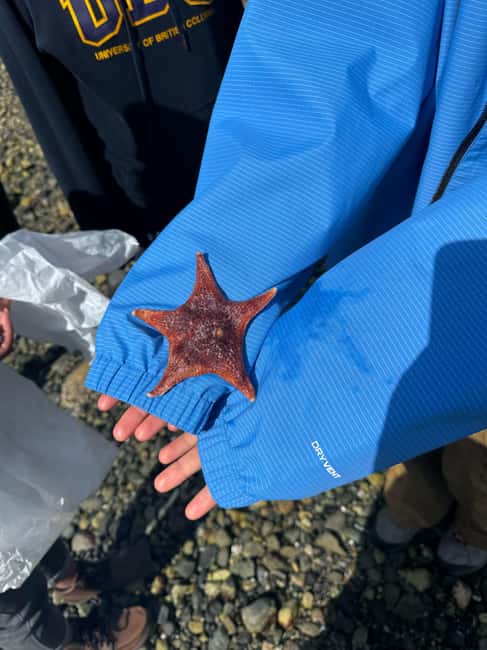 Vancouver: Stanley Park Salish Sea & Me - The Role of Indigenous Science and Ocean Advocacy
