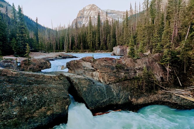 Vancouver to Emerald Lake Road Bus Trip 3 Days - What’s Not Included