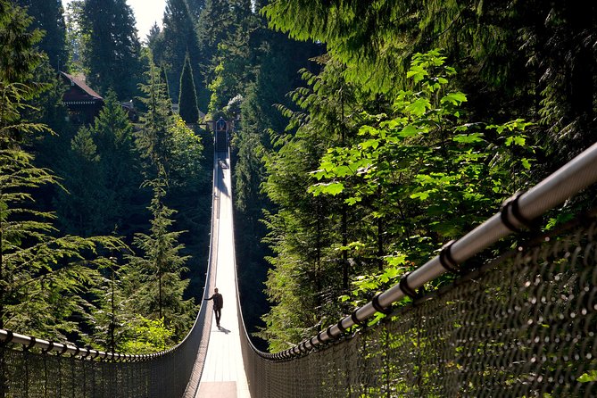 Vancouver Tour: Stanley Park, Granville Island & Capilano Bridge - The Thrilling Capilano Suspension Bridge Experience