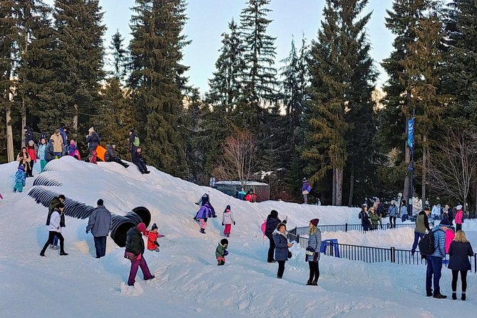 Vancouver Whistler Private Tour - Logistics and Comfort: Private Transportation and Guide Service