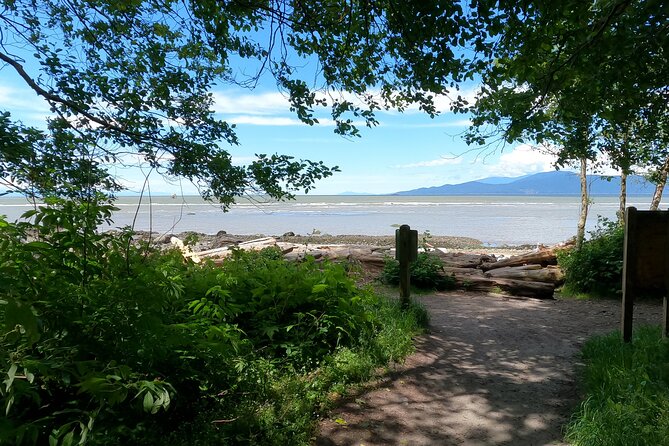 Vancouver's Natural Stair Master Workout, With Beach Walk - Weather and Physical Requirements