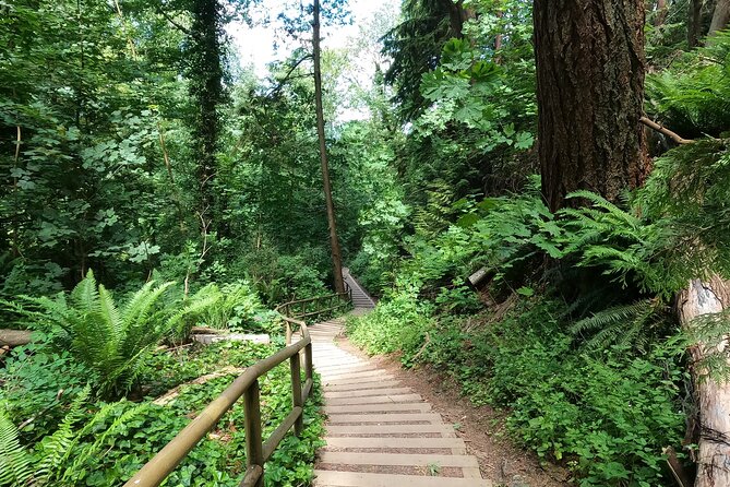 Vancouver's Natural Stair Master Workout, With Beach Walk - The Experience Provider: Breakaway Adventures