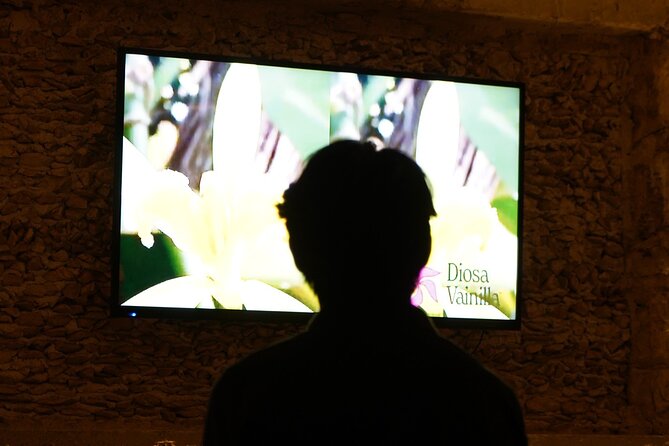 Vanilla Experience Flavor History Gallery and Garden - Practical Details and Accessibility