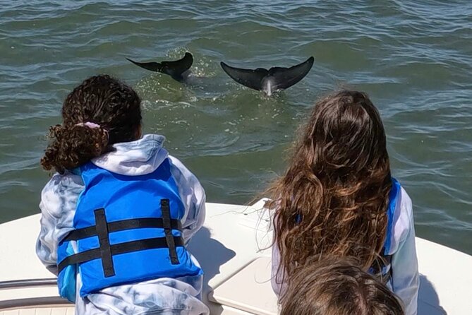Vanishing Mile Isle Beachcomber Tour - Wildlife Encounters: Dolphins, Birds, and Marine Life