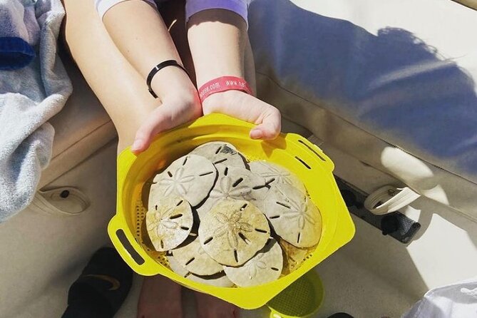 Vanishing Mile Isle Beachcomber Tour - Practical Details: Meeting Point, Group Size, and Accessibility